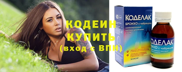 стаф Каменногорск