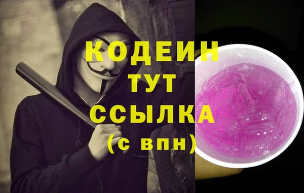стаф Каменногорск