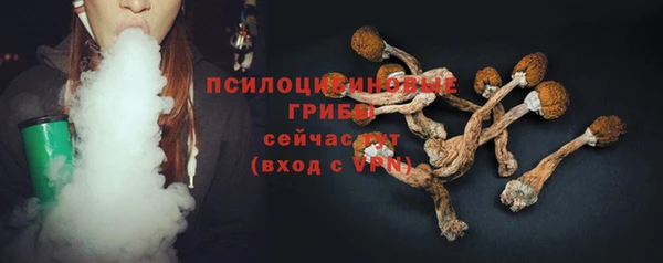 стаф Каменногорск
