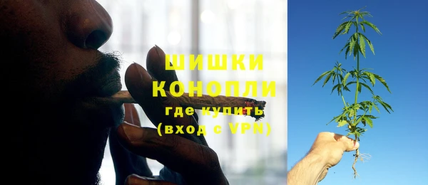 стаф Каменногорск