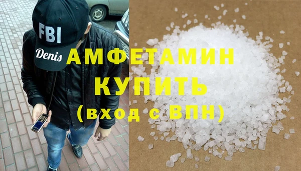 стаф Каменногорск