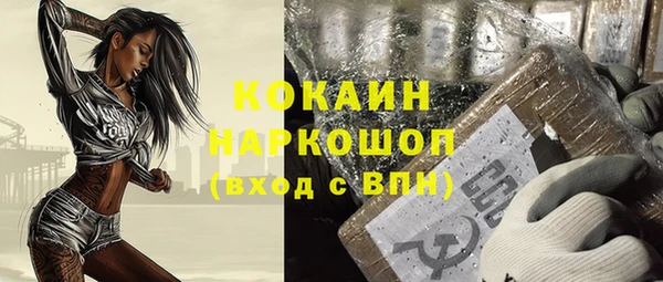 стаф Каменногорск