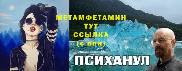 стаф Каменногорск