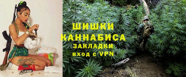 стаф Каменногорск